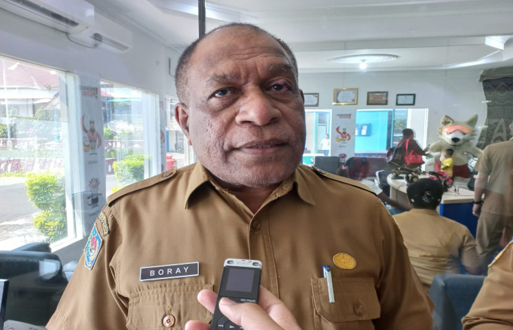 Pemprov Papua Mulai Lirik Pengembangan Potensi Energi Baru Terbarukan